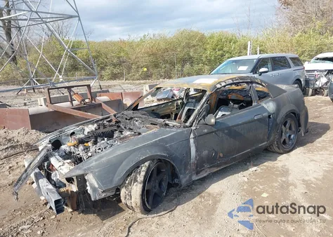 2003 Ford Mustang 10Th Anniversary Package/Cobra z USA, uszkodzony, nr VIN 1FAFP48Y33F419457